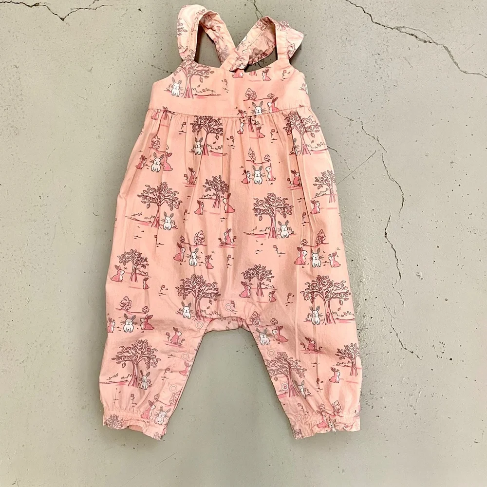 Gymboree Bunny Rabbit Pink Romper